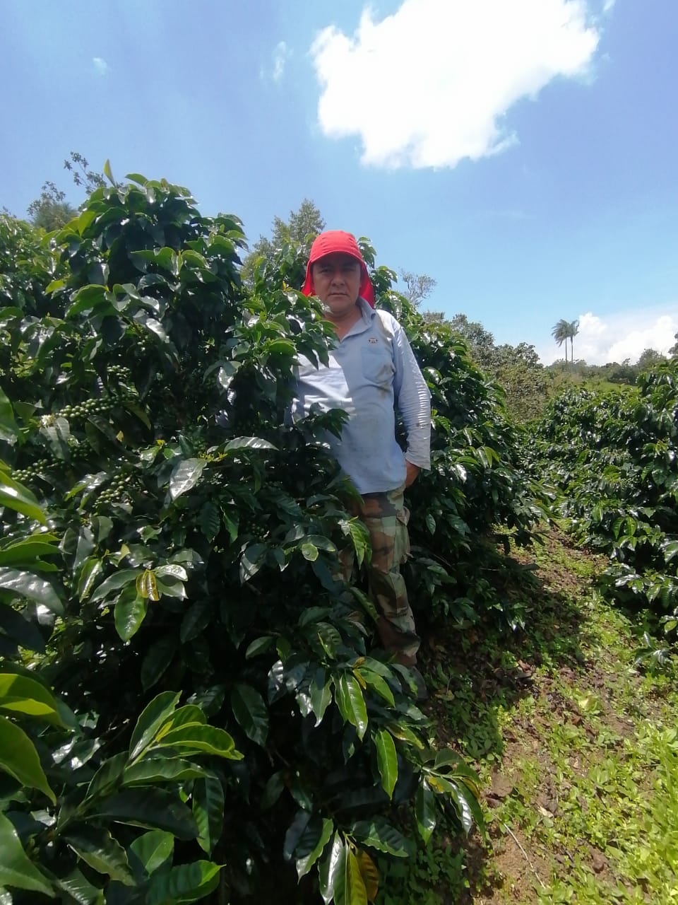 Imagen del producto 5